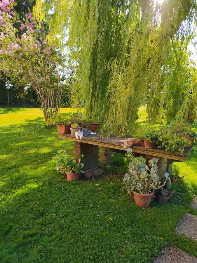 Villa Favilli Pise Italie