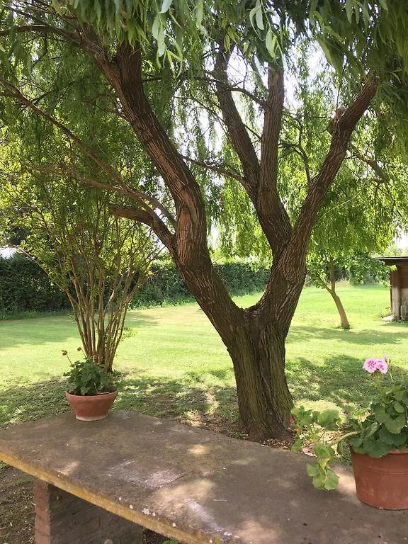 Villa Favilli Pise